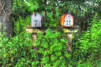 Two Mailboxes by Robert Goldwitz art print