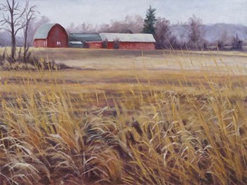 On the Farm by Rusty Frentner art print