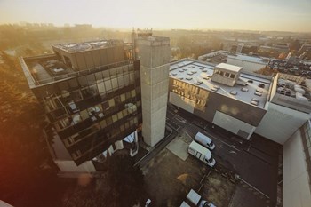 Fall by Sebastien Lory art print