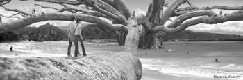 Nut Tree by Thomas Barbey art print