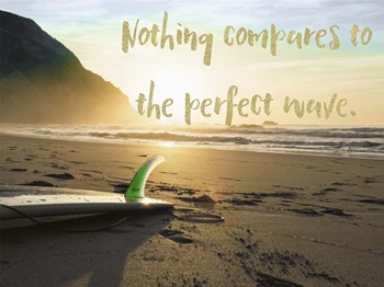 The Perfect Wave by Tina Lavoie art print