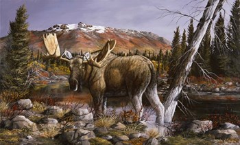 Evening Solitude by Trevor V. Swanson art print