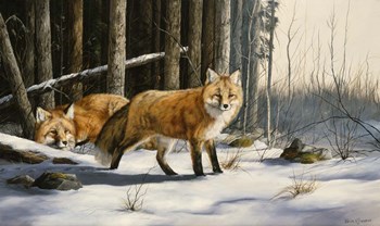 Out from Cover by Trevor V. Swanson art print