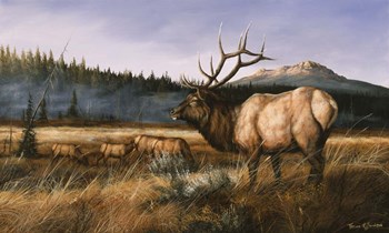 September Royal by Trevor V. Swanson art print