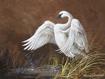 Swan Song by Trevor V. Swanson art print