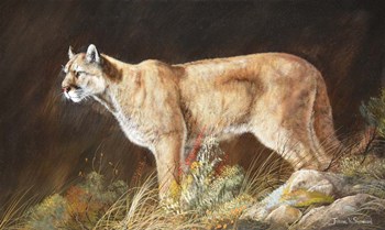 Intent by Trevor V. Swanson art print