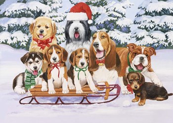 Sled Dogs by William Vanderdasson art print