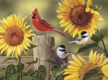 Sunflowers and Songbirds by William Vanderdasson art print