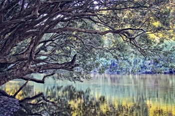 A Place To Dream by Incredi art print