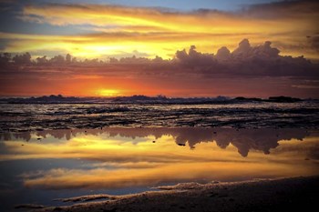 Morning Reflections by Incredi art print