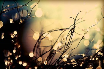 Summer Nights by Incredi art print