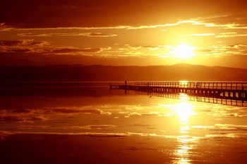 The Show Is On by Incredi art print