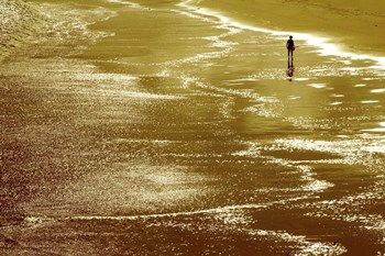 Walking On Sunshine by Incredi art print