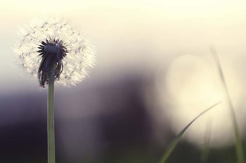 Without You by Incredi art print