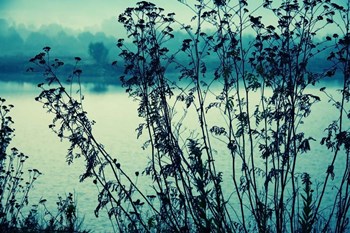 Blues In The Morning by Incredi art print