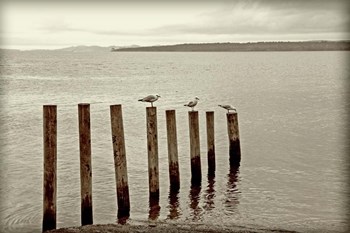 Moments Passing By by Incredi art print