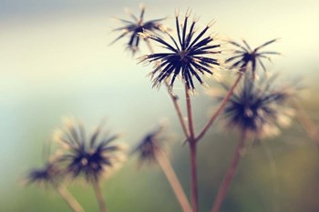 Yesterday by Incredi art print