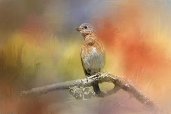 Spring Song by Jai Johnson art print