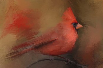 America&#39;s Favorite Red Bird by Jai Johnson art print