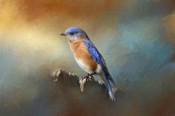 Bluebird On The Fence by Jai Johnson art print