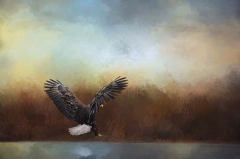 Eagle Hunting In The Marsh by Jai Johnson art print