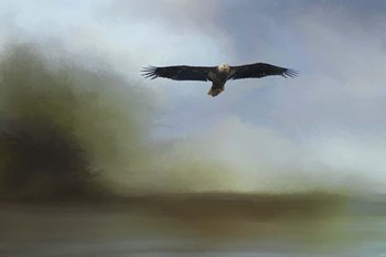 Juvenile Eagle At The Lake by Jai Johnson art print