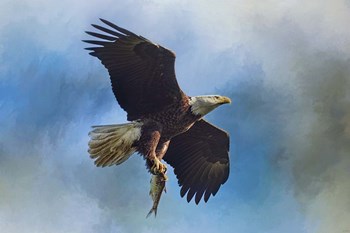 The Raptors Catch by Jai Johnson art print