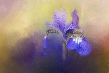 Tiny Iris by Jai Johnson art print