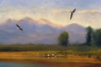 Where Eagles Play by Jai Johnson art print