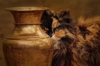 Behind The Antique Vase by Jai Johnson art print