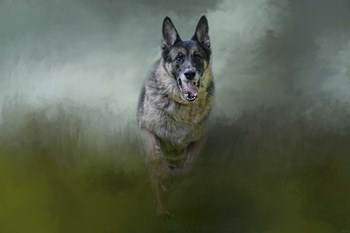 Racing The Storm by Jai Johnson art print