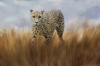 Cheetah In The Field by Jai Johnson art print