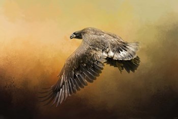 First Flight by Jai Johnson art print