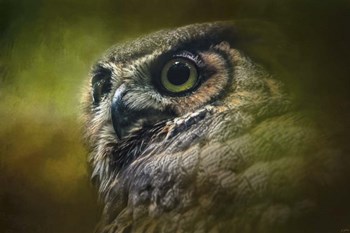 Great Horned Owl In The Grove by Jai Johnson art print