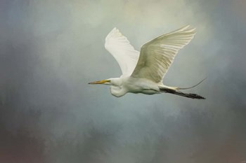 Sea Flight by Jai Johnson art print