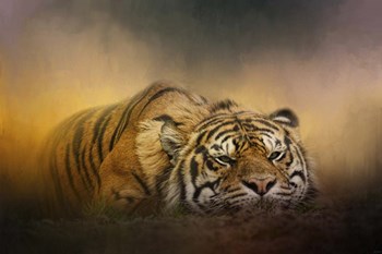 The Tiger Awakens by Jai Johnson art print