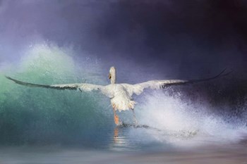 Head On by Jai Johnson art print