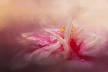 Rain Diamonds by Jai Johnson art print