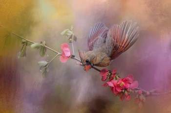 Spring Cardinal 2 by Jai Johnson art print