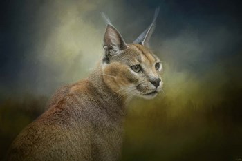 Tufted Ears by Jai Johnson art print