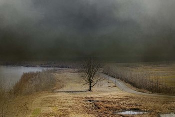 Winding Missouri Road by Jai Johnson art print