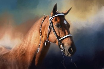 Bathed In The Evening Light by Jai Johnson art print