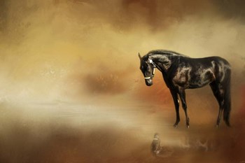 Reflecting by Jai Johnson art print