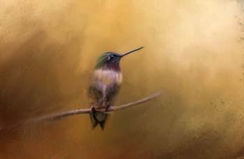 Hummingbird in Autumn by Jai Johnson art print