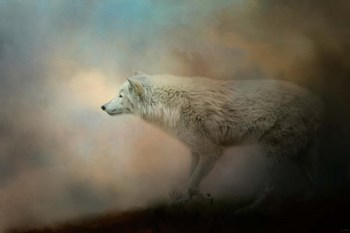 Journey Of The Timber Wolf by Jai Johnson art print