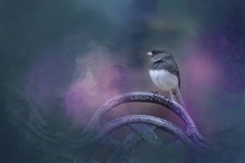 Bench Break by Jai Johnson art print