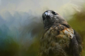 First Morning Light by Jai Johnson art print