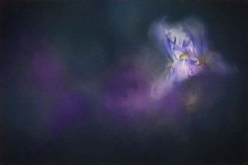 Iris Whisper by Jai Johnson art print