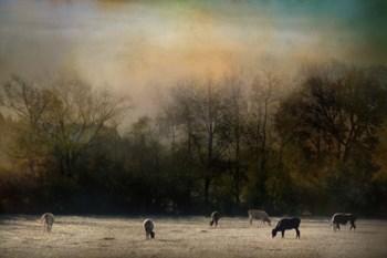 Peaceful Tennessee Morning by Jai Johnson art print