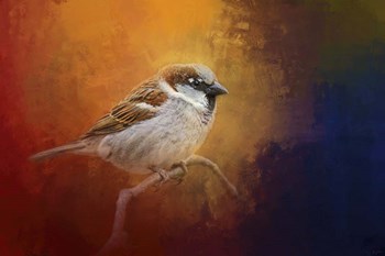 Autumn Sparrow by Jai Johnson art print
